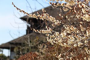 茨城県製造業会計支援センター