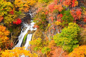 栃木県製造業会計支援センター